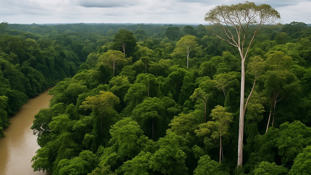 Brazilian prosecutors challenge a $180 million carbon offset deal aimed at conserving the Amazon rainforest.