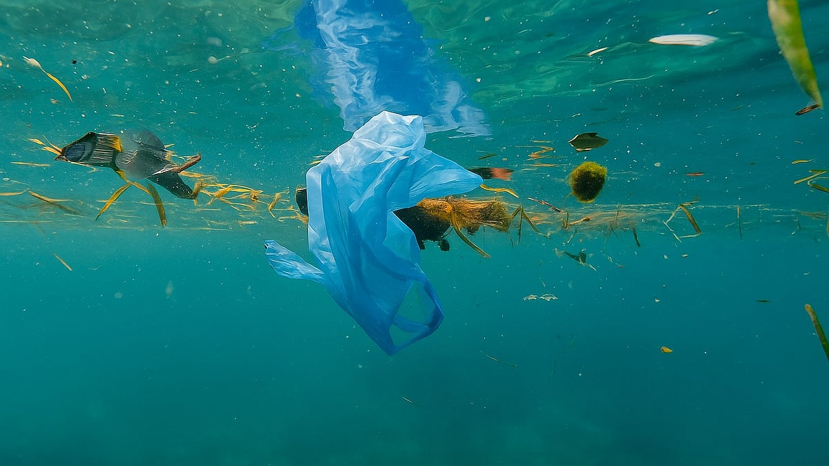 Japanese researchers develop a groundbreaking soluble plastic that dissolves in seawater.