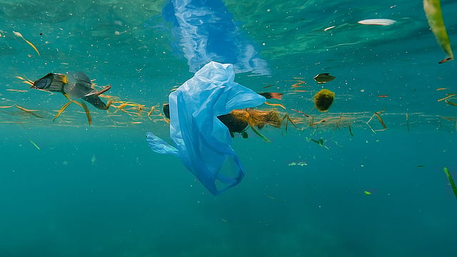 Is Japan’s Soluble Plastic Innovation Enough to Combat Ocean Pollution?