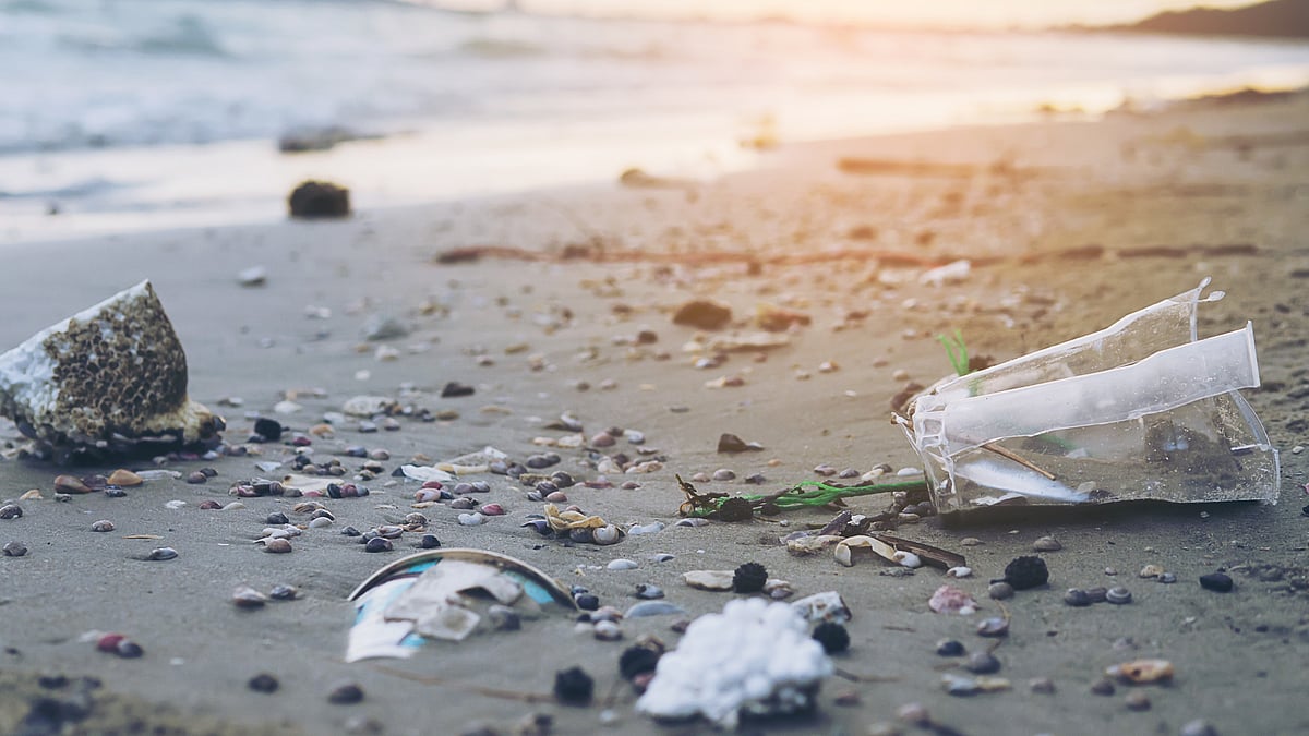 Freepik : Around 10% of microplastics bypass treatment and enter rivers, lakes and oceans—carrying their microbial cargo with them