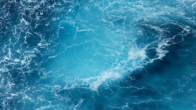 Can UN Summit in France Bridge $15.8 Billion Ocean Protection Funding Gap?