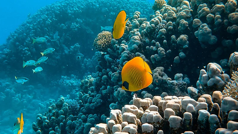 Photo by Francesco Ungaro