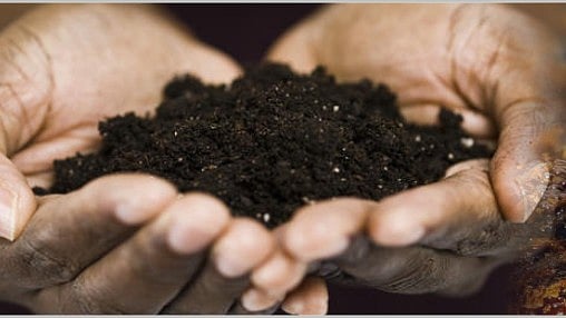 Why India’s Lone Rare Earth Miner IREL Isn’t Helping Domestic Automakers