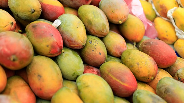 Centre Approves Compensation for Karnataka Mango Farmers Amid Falling Prices, Tamil Nadu Also Seeks Relief