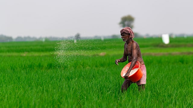 China Strikes Again: Halts Key Fertiliser Exports to India After Rare Earth Curbs