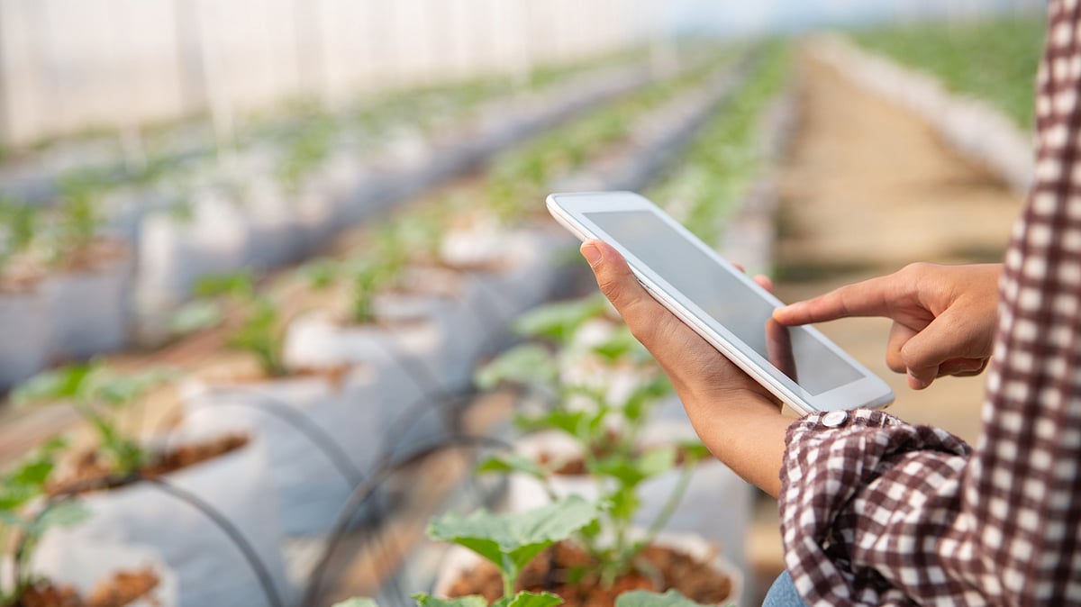 FreePik : Farm Sector