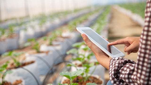 Output of Farm Sector Rises to Rs 29.49 Lakh Crore in FY24: Govt Data