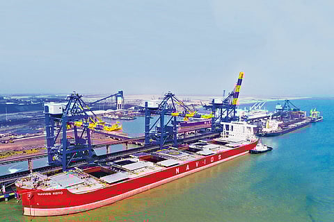 Reclaiming The Coastline