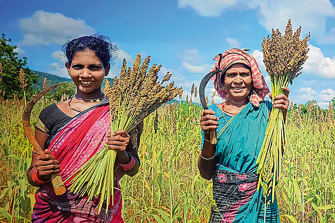 Social welfare in focus