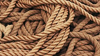 Photo by Pixabay : Jute Manufacturers To See 15% Volume Growth In FY27 On Stronger Demand: Report