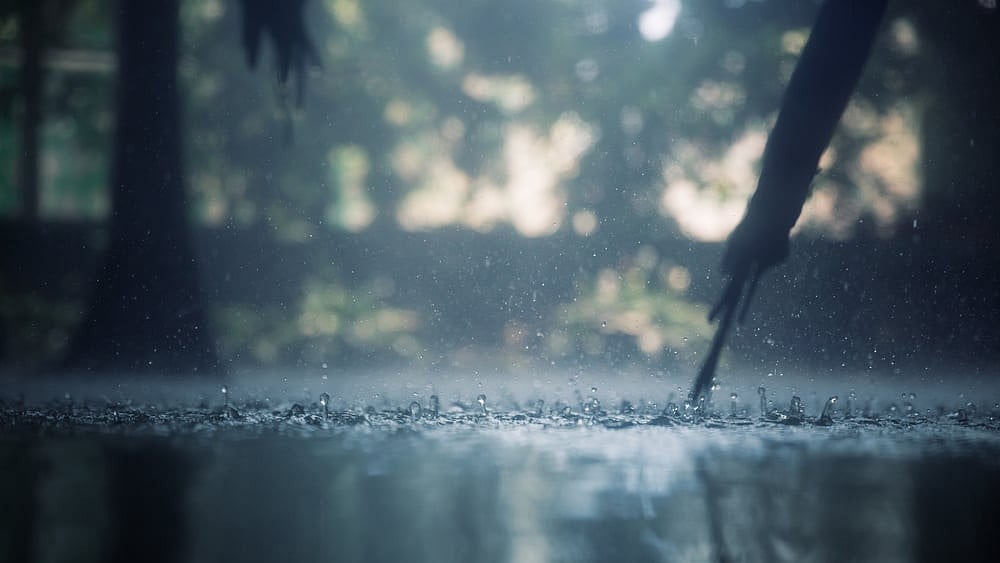 IMD Forecasts Heavy Rain in Parts of Jharkhand Till July 1   