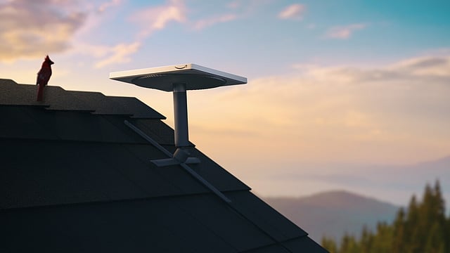 Starlink, Amazon’s Project Kuiper Tie Up with Satcom Equipment Makers Ahead of India Launch