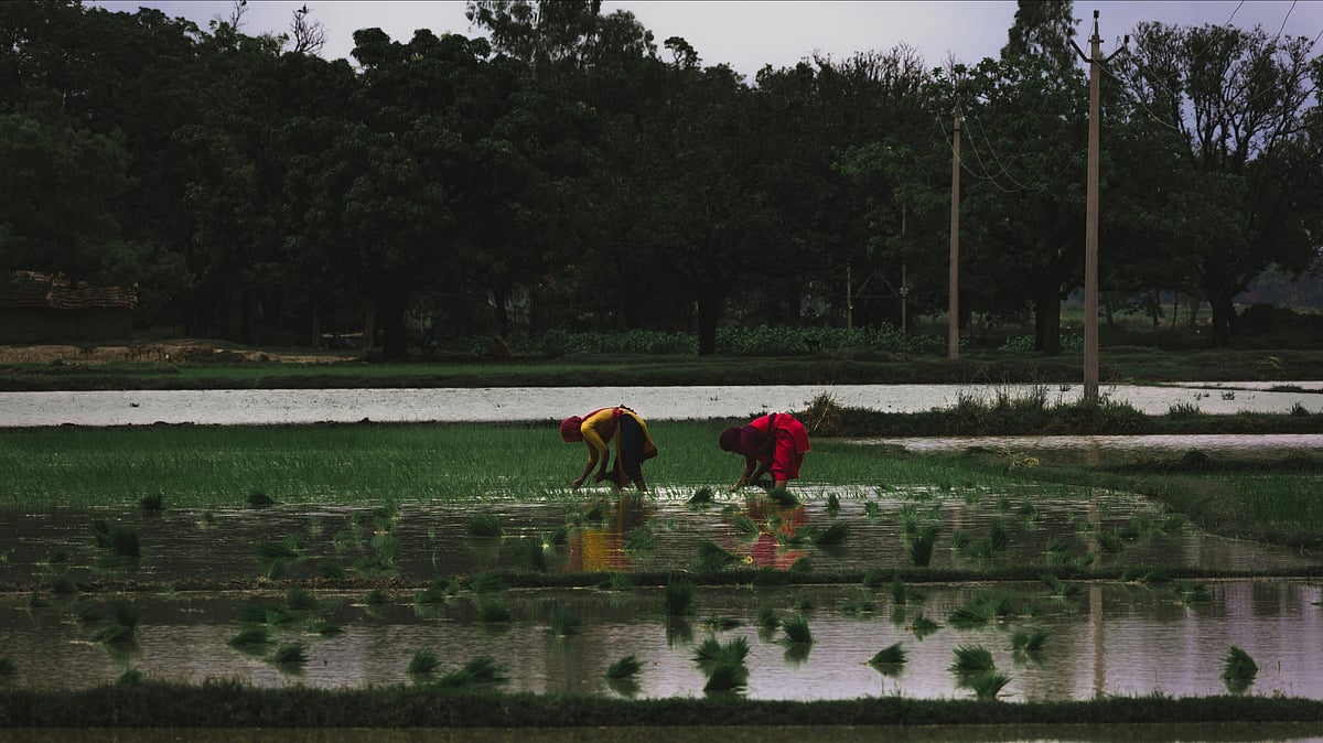 Photo by Nikhil Kumar Pal