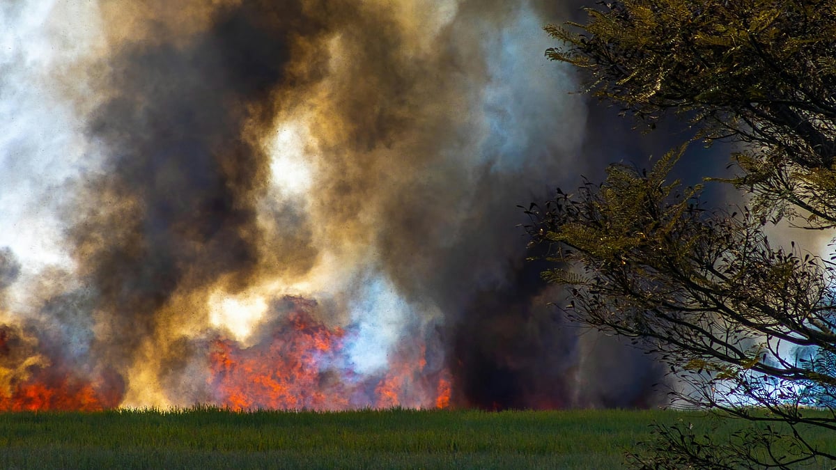 Photo by Alexandre P. Junior : Wildfire in southern Europe amid soaring summer temperatures