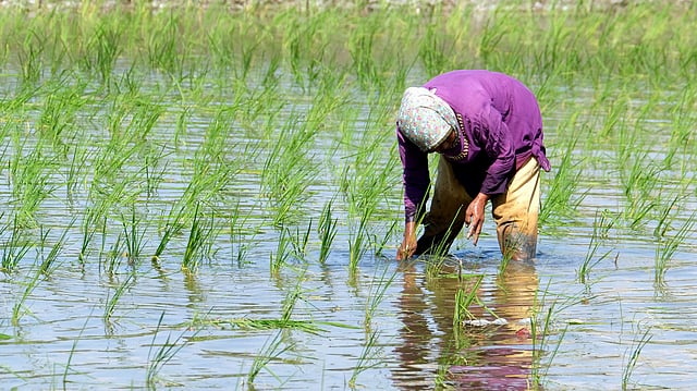 Investment of $75 Billion Needed for Indian Farmers to Adapt to Climate Change Impact: IFAD President 