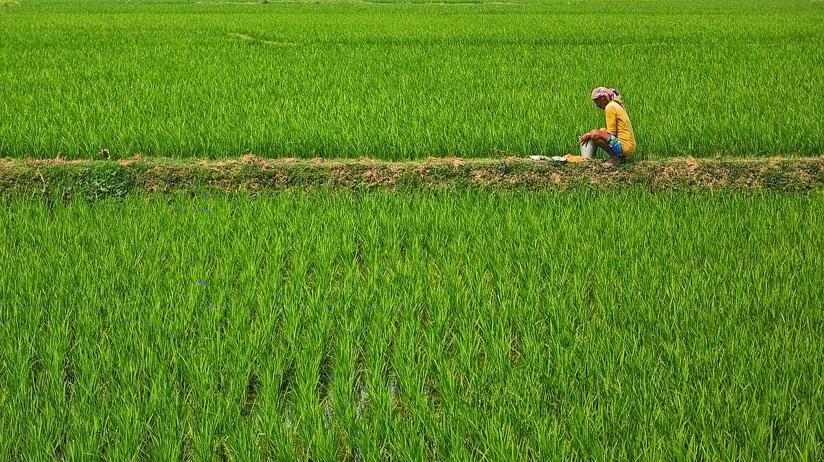 Photo by Dibakar Roy : Indian Monsoon