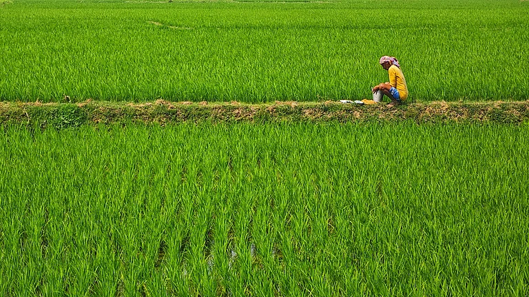 Indian Monsoon - Photo by Dibakar Roy