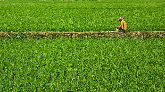 Early Onset of Monsoon: Boon or Bane for India's Agri Economy and Climate?