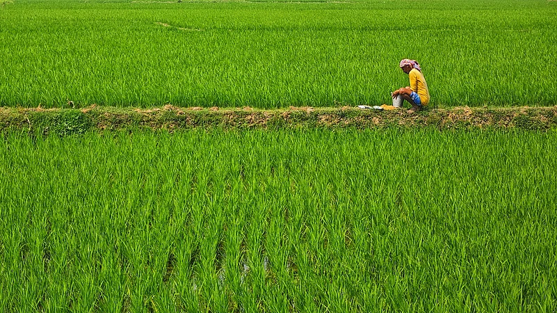 Photo by Dibakar Roy