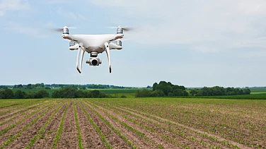 Freepik (Representative Image)