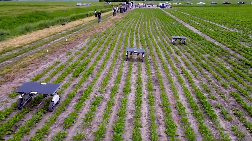 Aigen robots operating autonomously. - Aigen_@#X