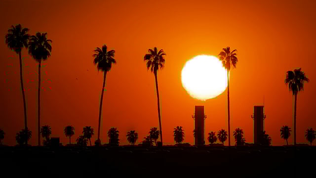 Western Europe Sees Hottest June on Record with Heatwaves Straining Power Grids