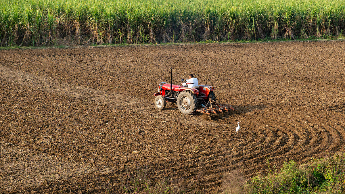 Agri Growth Estimated to be Lower at 4% in FY26 - shutterstock