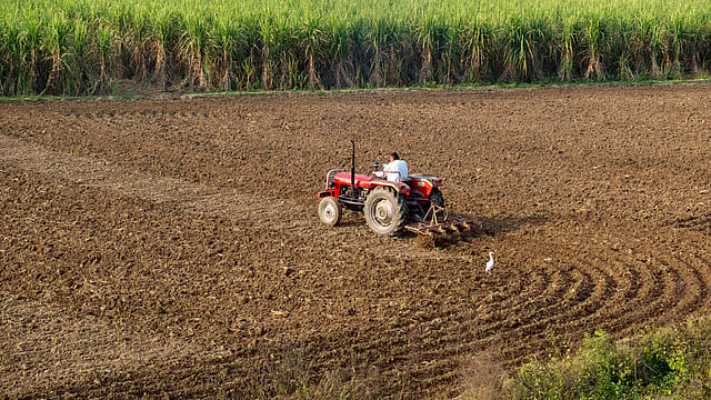 DAP Trouble Ahead: Can India Shield Its Farmers from China’s Next Shock?