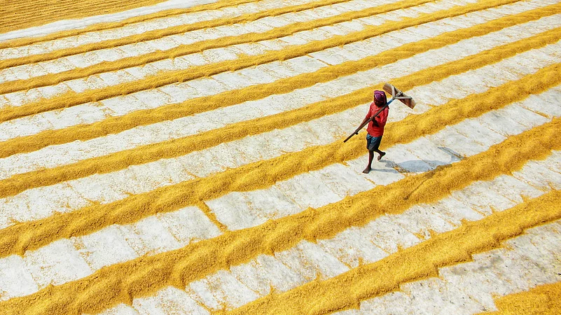 Photo by Dibakar Roy