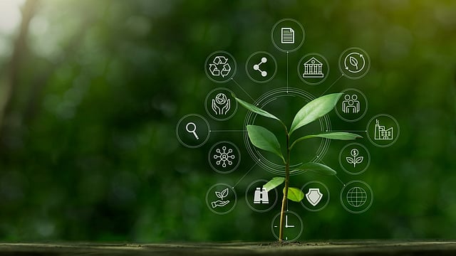Why India’s Climate Finance Taxonomy Needs to Include Agriculture’s Mitigation Potential