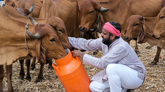 Behind India-US Trade Standoff Lies a Potential ₹1 Lakh Crore Income Hit for Farmers