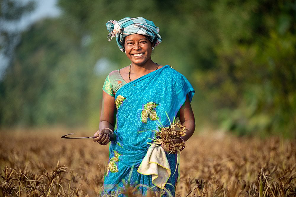 Strategic Agrarian Renewal: Odisha’s Integrated Approach To Rural Economic Transformation