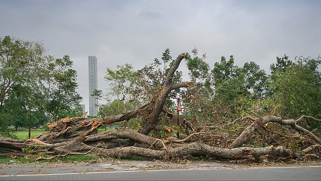 India's Green Finance Goal Faces Compliance Challenges, Needs More Funds