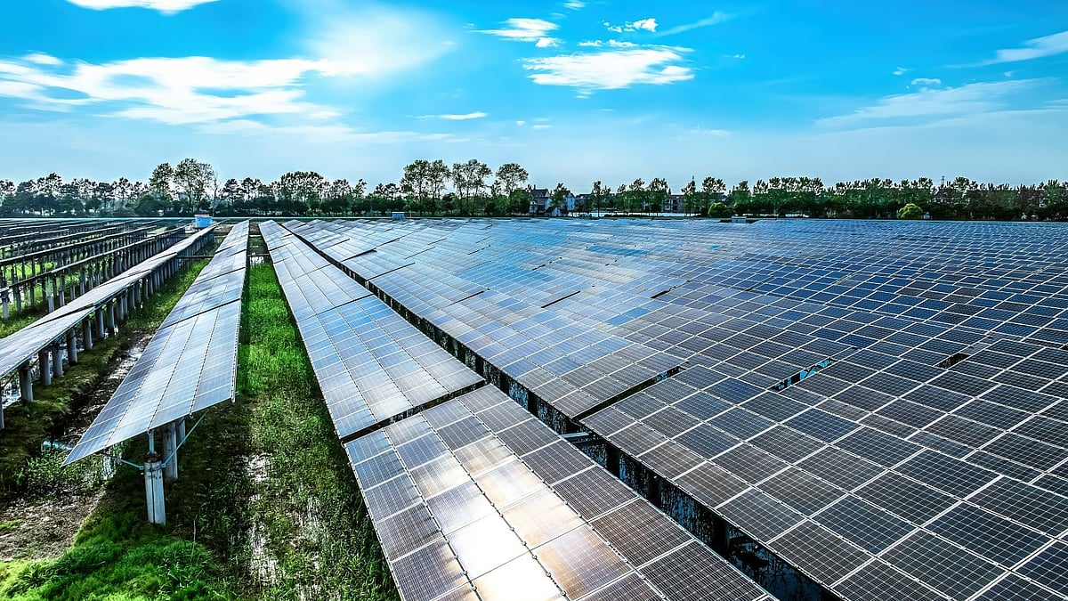 Solar panels installed at a utility-scale farm