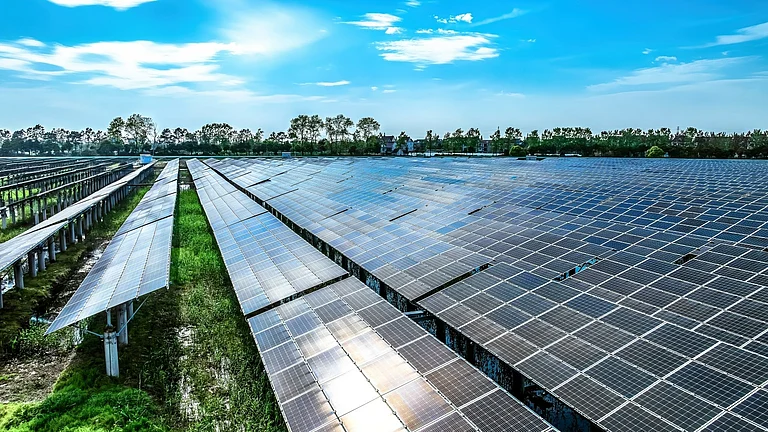 Solar panels installed at a utility-scale farm - null