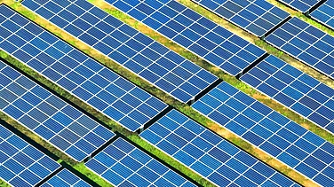 GAIL To Invest ₹3,800 Cr In 700 MW Solar Projects In UP, Maharashtra
