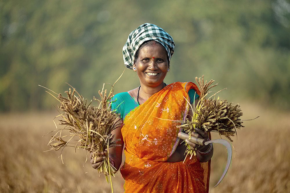 Pathways To Progress: Odisha’s Story Of Transformation In Rural And Tribal Development