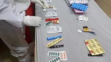 Zydus Lifesciences Q3 Net Profit Up 1.81% at ₹1,042 Cr