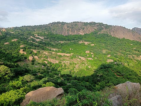 Karnataka Identifies Karikad in Mangaluru for Multimodal Logistics Park