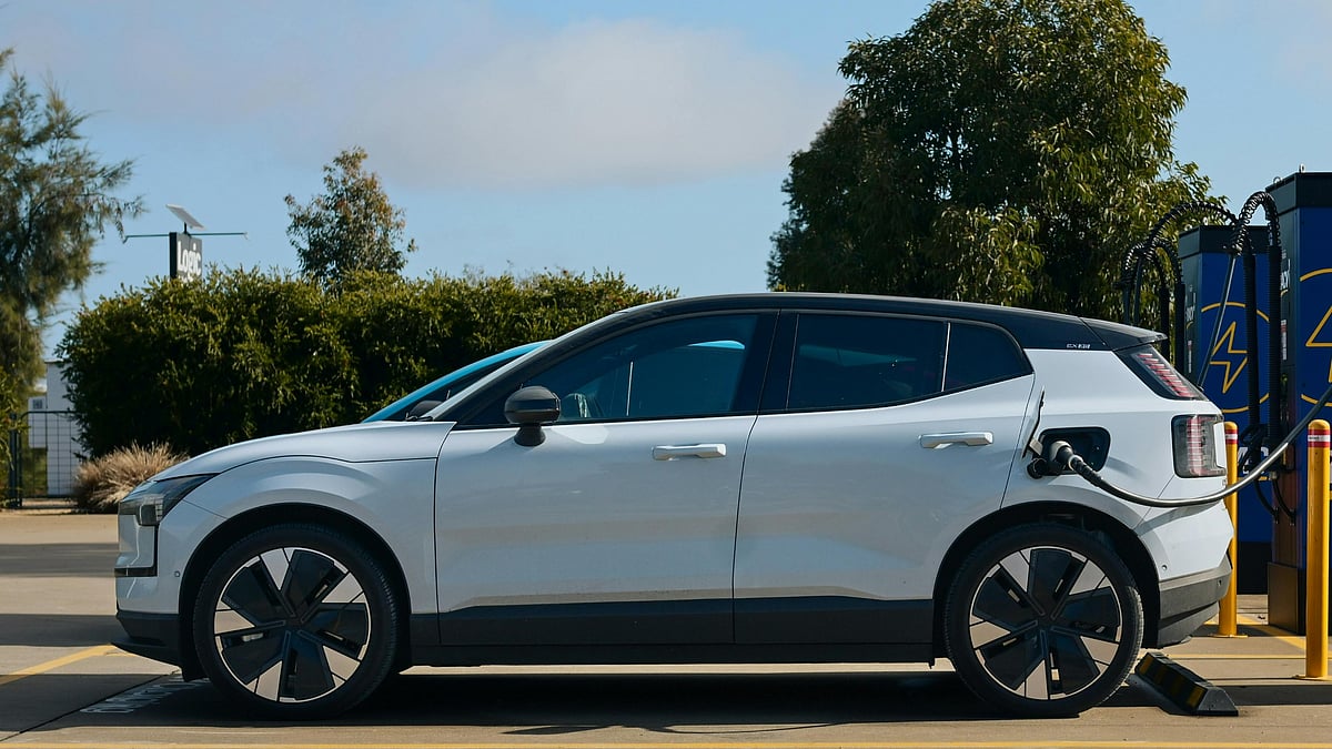 Photo by Harry Tucker