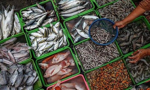 India's seafood exports set to compete with Vietnam, Singapore after UK trade deal