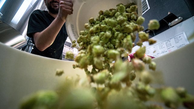 Tropical Agrosystem expands distribution of post-harvest solution to reduce food waste