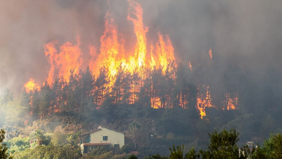 Wildfires in Turkey amid record heat