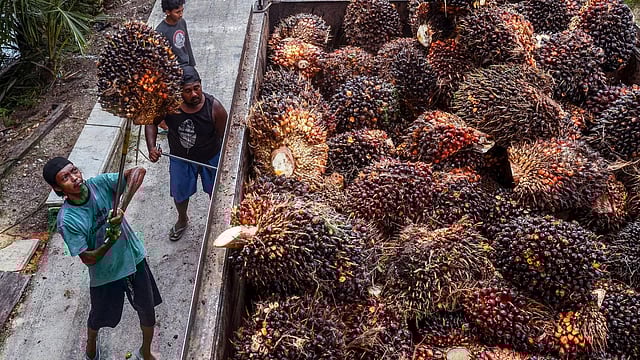 Indonesia Expects Palm Oil Exports to India to Exceed 5 Mn-Tonnes Mark in 2025: IPOA Chairman