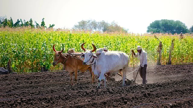 Maharashtra Mandates Government Nod for Traders Buying Farm Produce