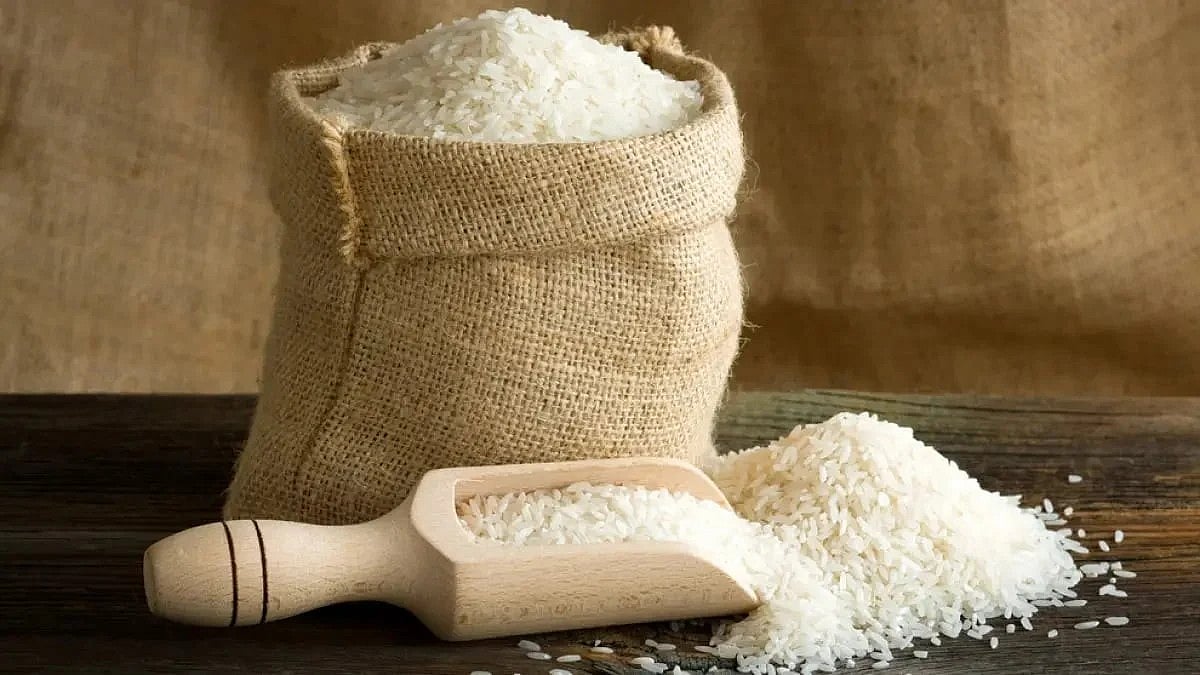 India Retains Rice Export Advantage Despite US Tariffs: IREF