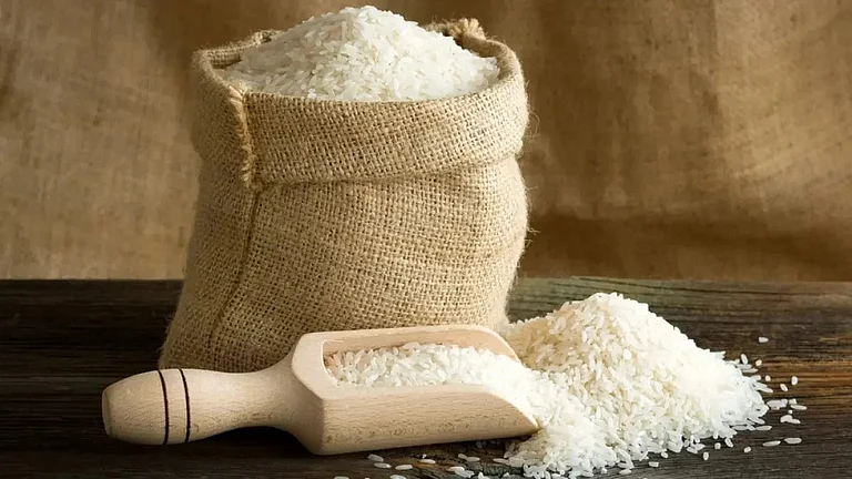Indian Rice Draws Global Interest; 3,317 Buyers From 138 Nations Register For BIRC 2026: IREF's Garg - null