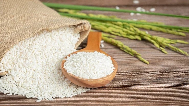 FreePik : Rice Export