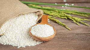 FreePik : Rice Export