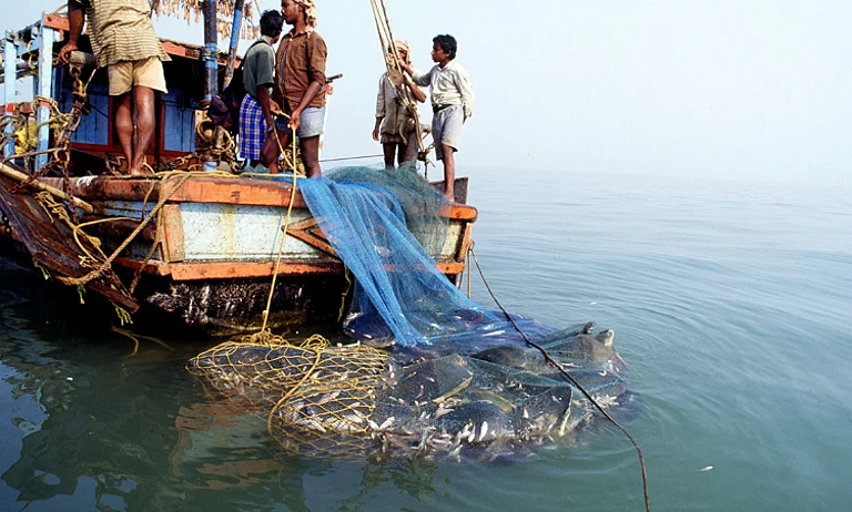 India's Marine Fish Catch - Conservation India